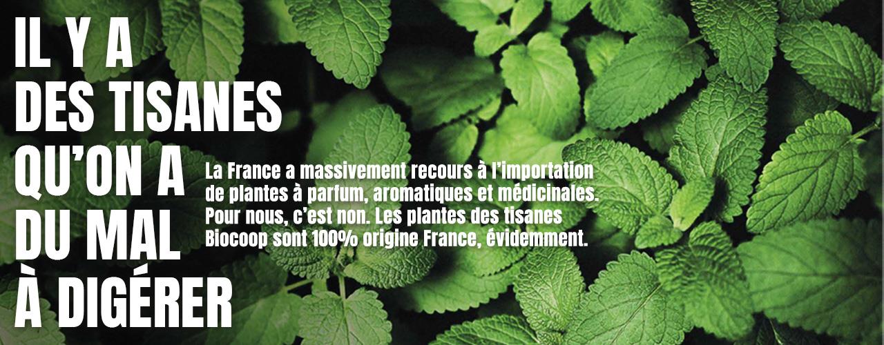 Campagne Herboristerie - Plantes tisanes Biocoop made in France